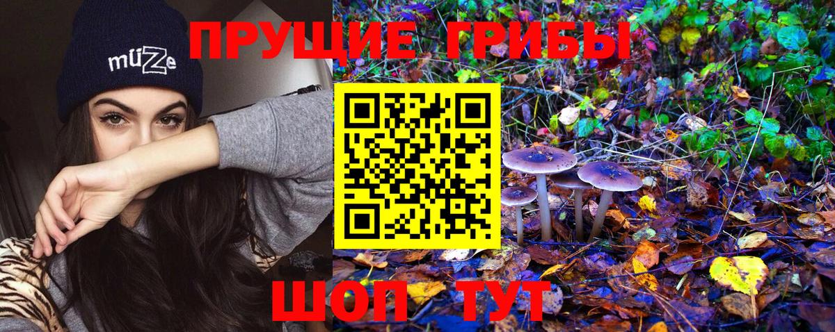 Псилоцибиновые грибы GOLDEN TEACHER Каменск-Уральский