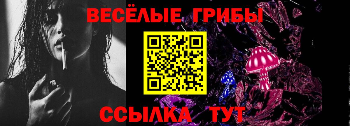 Каменск-Уральский  Псилоцибиновые грибы Cubensis  Вход с VPN 